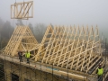 19 crane in fog 2 021115-1