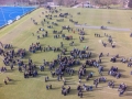 MC pitch-0061405