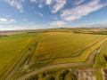 WW2 Airfield-0015275